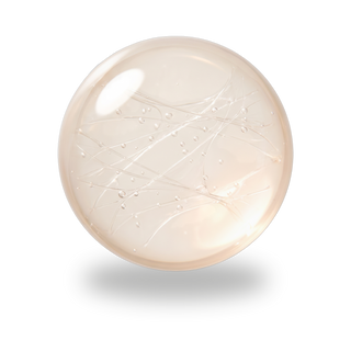 HYDROLYSED ELASTIN